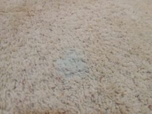 How to Get Candle Wax Out of Carpet and Other Fabrics – Blaizen Candles